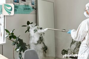 JARDINLASMARIPOSAS - Imagen - 2 Efectos del Insecticida Sobre la Plaga - 01