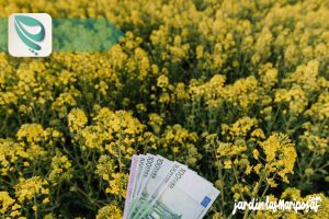 JARDINLASMARIPOSAS - Imagen - 5. El Costo del Producto - 01