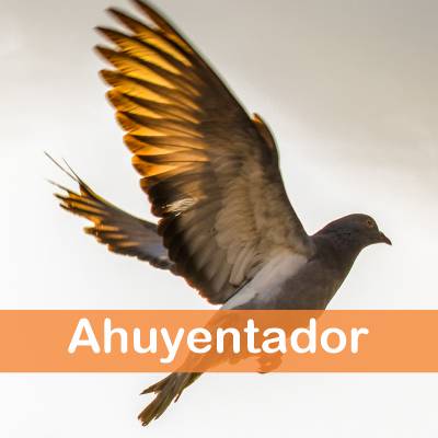 JARDINLASMARIPOSAS - Imagen - Artículos Comprar en Oferta Amazon - Cuántos tipos de Ahuyentador de Pájaros Existe - 01