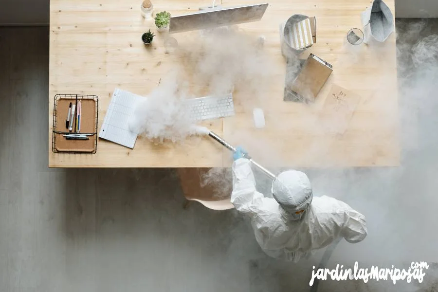 JARDINLASMARIPOSAS - Imagen - Consejos B&aacute;sicos para Usar Pesticidas - 01