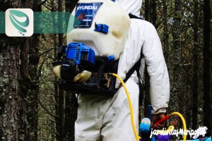 JARDINLASMARIPOSAS - Imagen - Insecticidas Para Jardín - Guía para el Uso Seguro - 01