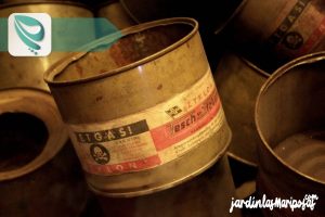 JARDINLASMARIPOSAS - Imagen - Insecticidas Para Jardín - Qué Tipos de Insecticidas Existen - 01