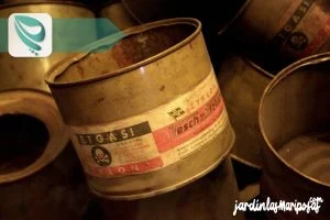 JARDINLASMARIPOSAS - Imagen - Insecticidas Para Jard&iacute;n - Qu&eacute; Tipos de Insecticidas Existen - 01