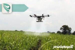 JARDINLASMARIPOSAS - Imagen - Insecticidas Para Jard&iacute;n - Qu&eacute; son los Insecticidas - 01