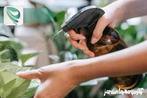 JARDINLASMARIPOSAS - Imagen - Insecticidas Para Jard&iacute;n - Uso Seguro de Pesticidas en el Hogar y el Jard&iacute;n - 01