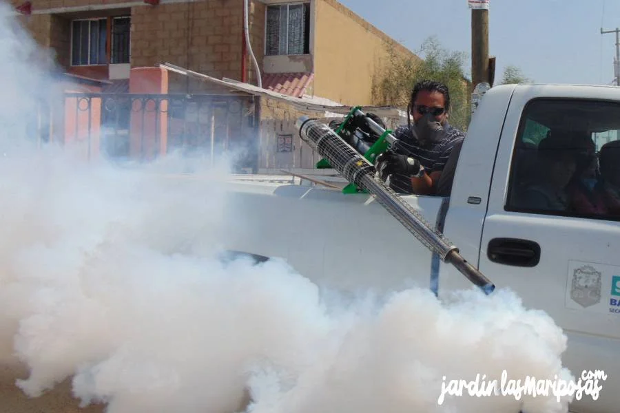 JARDINLASMARIPOSAS - Imagen - Qu&eacute; Efectos secundarios Provocan los Insecticidas en el Ser Humano - 01