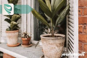 JARDINLASMARIPOSAS - Imagen - Maceta Maceteros y Jardineras - 01