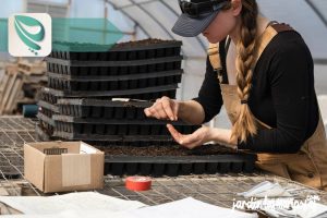 JARDINLASMARIPOSAS - Imagen - Temas de Interés Consejos Guias y Cursos Muy Útiles para Tus Jardines y Decoraciones - 01