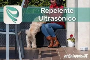 JARDINLASMARIPOSAS - Imagen - Tienda OnLine del Mejor Repelente Ultras&oacute;nico - 01