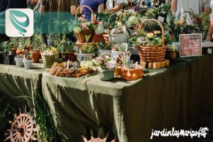 JARDINLASMARIPOSAS - Imagen - Tipos y Cuidados de un Bonsái y suculentas - 01